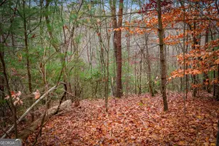 208 Bullen Gap Rd, Blue Ridge, GA 30513 - Photo 60