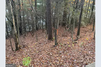 47 Brasstown Lane, Dillard, GA 30537 - Photo 26