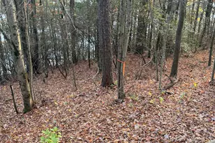 47 Brasstown Ln, Dillard, GA 30537 - Photo 26