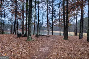 190 Bontura Dr, Senoia, GA 30276 - Photo 42