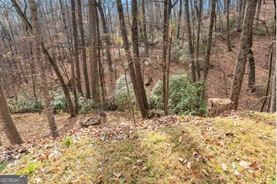 315 N Lake Drive, Sautee Nacoochee, GA 30571 - Photo 44