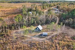 334 Hidden Hammock Dr, Vidalia, GA 30474 - Photo 6