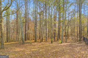 114 River Bluff, Hoschton, GA 30548 - Photo 66