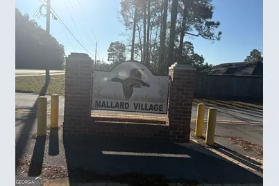 915 Mandarin Drive, Hinesville, GA 31313 - Photo 54