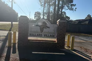 915 Mandarin Dr, Hinesville, GA 31313 - Photo 54