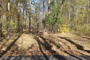 90 Moores Ln, Oxford, GA 30054 - Photo 1