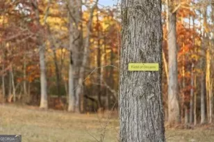 2903 S Old Federal Rd, Chatsworth, GA 30705 - Photo 22