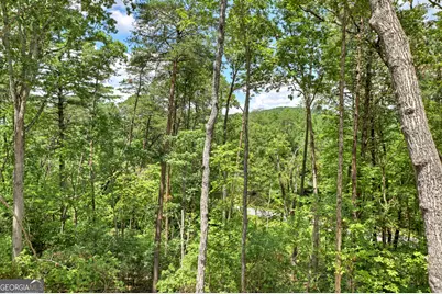 58 Whitetail Hollow, Morganton, GA 30560 - Photo 6