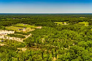 11084 Mt Carmel Rd, Senoia, GA 30276 - Photo 132