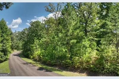 139 Whispering Ridge Court #139, Ellijay, GA 30540 - Photo 6