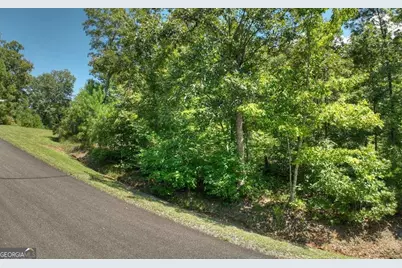 136 Whispering Ridge Court #136, Ellijay, GA 30540 - Photo 4