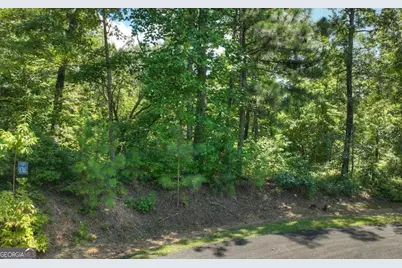 136 Whispering Ridge Court #136, Ellijay, GA 30540 - Photo 6