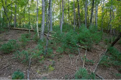 228 Toccoa Court #228, Ellijay, GA 30540 - Photo 14