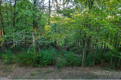 228 Toccoa Court #228, Ellijay, GA 30540 - Photo 18