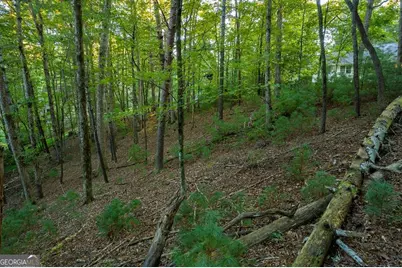 228 Toccoa Court #228, Ellijay, GA 30540 - Photo 12