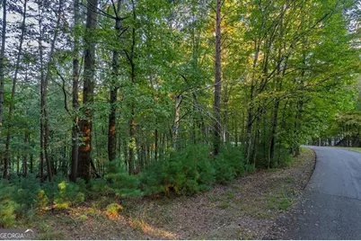 228 Toccoa Court #228, Ellijay, GA 30540 - Photo 10