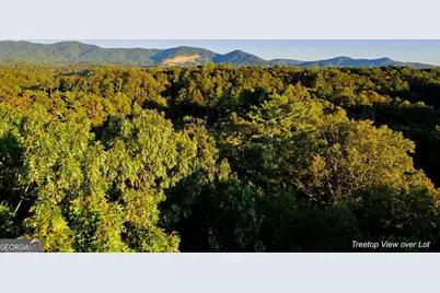 228 Toccoa Court #228, Ellijay, GA 30540 - Photo 2