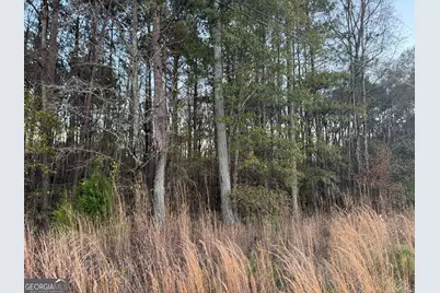 0 East Lake Parkway, McDonough, GA 30252 - Photo 12