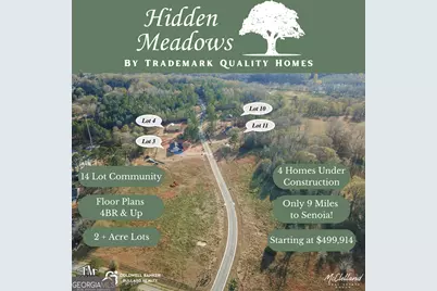 123 Hidden Meadows Drive, Gay, GA 30218 - Photo 24