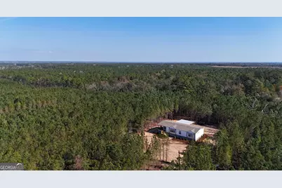 1262 Penny Morris Road, Baxley, GA 31513 - Photo 4