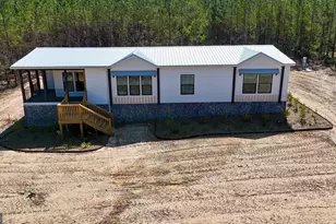 1262 Penny Morris Rd, Baxley, GA 31513 - Photo 2