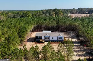 1262 Penny Morris Rd, Baxley, GA 31513 - Photo 1