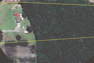 883 Zittrouer Rd, Guyton, GA 31312 - Photo 32