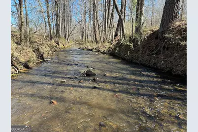 175 Acres Roosevelt Highway, Warm Springs, GA 31830 - Photo 98