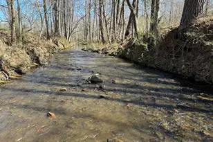 175 Acres Roosevelt Hwy, Warm Springs, GA 31830 - Photo 98
