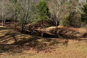 105 Oak Lake Dr, Perry, GA 31069 - Photo 54