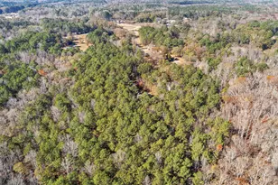 75 Homer Johnson Rd, Newnan, GA 30265 - Photo 44