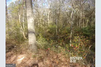 781 N Delray Road, Thomaston, GA 30286 - Photo 20