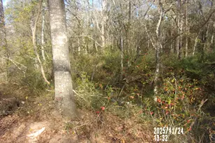 781 N Delray Rd, Thomaston, GA 30286 - Photo 20