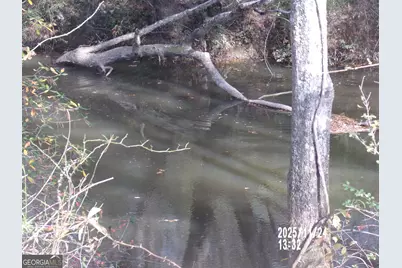 781 N Delray Road, Thomaston, GA 30286 - Photo 8