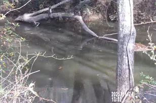 781 N Delray Rd, Thomaston, GA 30286 - Photo 8