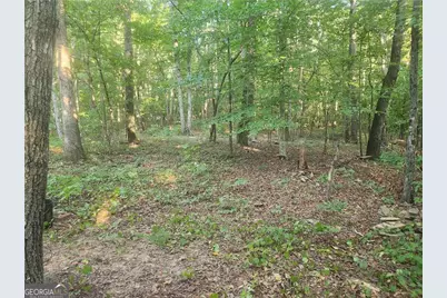 340 Pat Rich Drive, Canton, GA 30115 - Photo 4