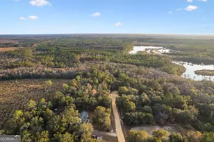 255 Spell Landing Rd, Hortense, GA 31543 - Photo 24