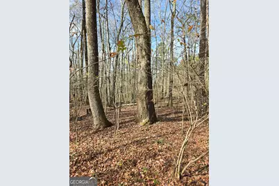 0 Yatesville Road, Barnesville, GA 30204 - Photo 6