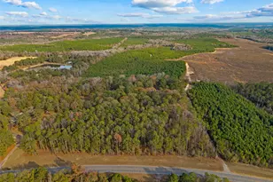 84 Weaver Ln, Buena Vista, GA 31803 - Photo 8