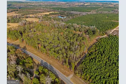 84 Weaver Lane, Buena Vista, GA 31803 - Photo 10