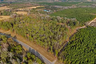 84 Weaver Ln, Buena Vista, GA 31803 - Photo 10