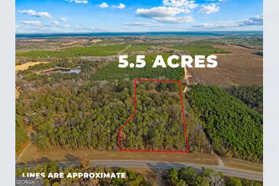 84 Weaver Lane, Buena Vista, GA 31803 - Photo 2