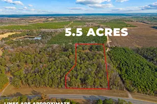 84 Weaver Ln, Buena Vista, GA 31803 - Photo 2