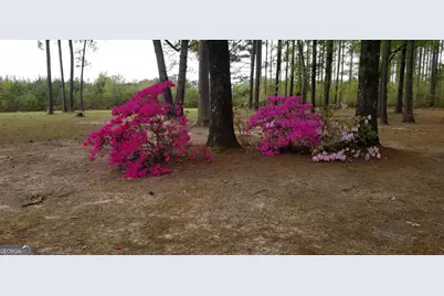 84 Weaver Lane, Buena Vista, GA 31803 - Photo 68