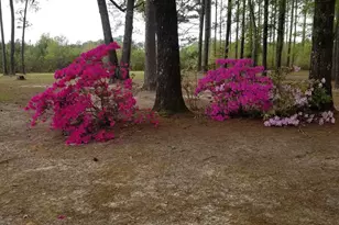 84 Weaver Ln, Buena Vista, GA 31803 - Photo 68