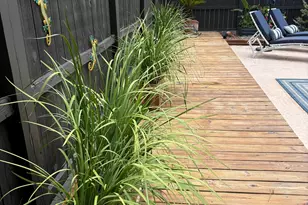 84 Weaver Ln, Buena Vista, GA 31803 - Photo 56