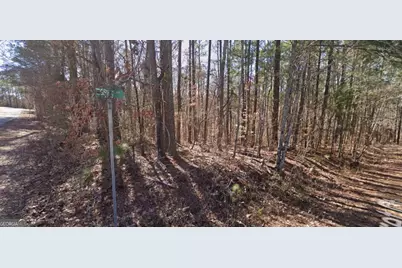 0 Egret Court, Monticello, GA 31064 - Photo 2