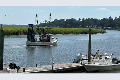 0 Pelican Perch Drive, Townsend, GA 31331 - Photo 4