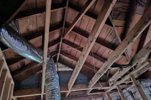 3789 Del Park, Macon, GA 31204 - Photo 4