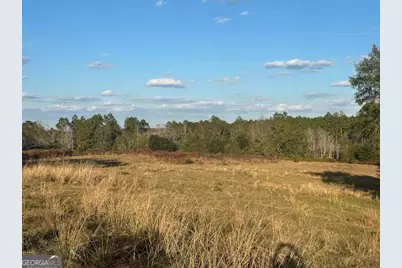 8893 Sunbury Road, Claxton, GA 30417 - Photo 4